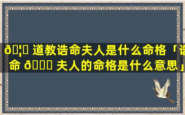 🦅 道教诰命夫人是什么命格「诰命 🐋 夫人的命格是什么意思」